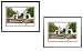 Indiana University, Bloomington Undergrad Framed Collegiate Campus Lithograph