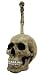 Skull Head Toilet Brush Holder - Restroom Bathroom Cleaning Tool Clean