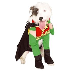 Robin Dog Costume