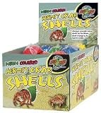 Hermit Crab Neon Shells Asst 36