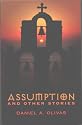 Assumption and Other Stories