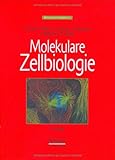 Image de Molekulare Zellbiologie