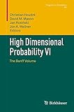High dimensional probability VI : the Banff volume