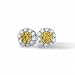1/2 ct dtw enhanced yellow diamond er