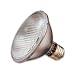 PAR 30 Halogen Flood, 50 Watt
