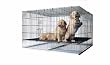 Precision Pet Puppy Pen with 1/2-Ince Mesh Floor, 48 x 24 x 30-", Chrome