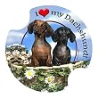 Dachshund Carsters, Coasters for Your Car