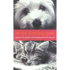 The Healing Paw: Not All Angels Have Wings