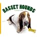 Basset Hounds (Domestic Dogs)