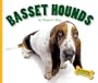 Basset Hounds (Domestic Dogs)