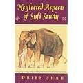 Neglected Aspects of Sufi Study: Beginning to Begin