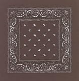 Dark Brown Paisley Bandana