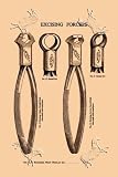 Art Poster, Excising Forceps - 18.75 x 27.5