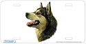 - Alaskan Malamute - Art Print - License Plate Decorative Tag By Robert J. May From Airstrike