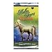 Bella Sara Baby Bella Trading Cards 2 Packs