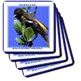 Maryland State Bird Baltimore Oriole - Set Of 8 Coasters - Soft