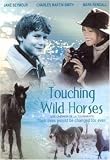 Touching Wild Horses
