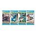 Pokemon DP Majest�tischer Morgen Booster