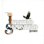Lynyrd Skynyrd Story
