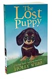 The Lost Puppy
