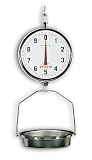 Detecto Fish and Vegetable Hanging Dial Pan Scale, Legal for Trade, Model T3530