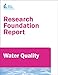 Characterization of Particles in Filter Effluents