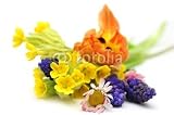 Wallmonkeys Peel and Stick Wall Decals - Spring Flowers Bouquet - Removable Graphic