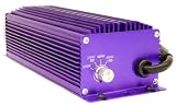 Lumatek Electronic