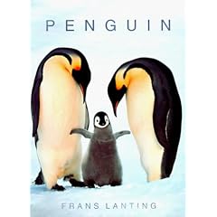Penguins (Photobook)
