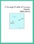 A Strategic Profile of Cayman Islands, 2000 edition (Strategic Planning Series)