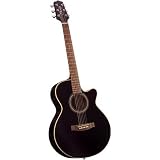 Takamine G260C-BL FXC Cutaway Acoustic Guitar - Black