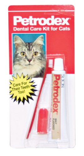 Petrodex Cat Dental Care Kit, Malt Toothpaste, 
