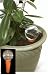Plant Feeder Watering System