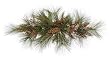 32" Long Needle Jackson Pine & Berries Artificial Christmas Swag - Unlit