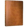 Holy Bible (King James Version, Kids Study Bible) (Large Print) (Paperback)