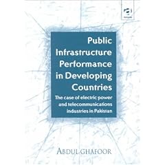 Public Infrastructure Performance in Developing Countries