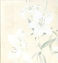 White Lily Magnetic Page Photo Album