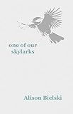 One of our skylarks