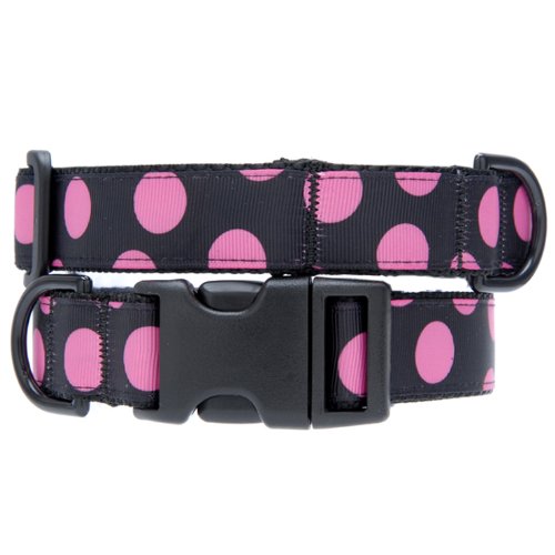 1 inch wide dog collar