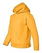 Youth Heavyweight Hooded Sweatshirt