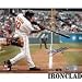 Miguel Tejada Autographed/Hand Signed Baltimore Orioles 8x10 Photo (Batting)