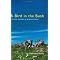 My top bird and birding books