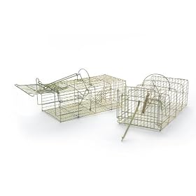 Procter Pest-Stop 14-Inch Wire Rat Cage