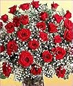 36 Long Stemmed Red Valentine's Roses