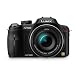 Panasonic Lumix FZ100 14.1MP Digital Camera - Black (3.0 inch TFT LCD Display, LEICA DC Lens with 24x Optical Zoom and Full HD Movie)