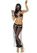 Sultry Harem Girl Sexy Holiday Party Costume