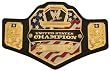 WWE U.S United States Championship Belt