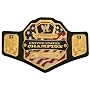 WWE U.S United States Championship Belt