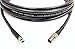 1 Foot Standard BNC Female to HD Micro BNC Male 6G HD-SDI Belden 1694A RG6 75Ohm Coaxial Adapter Cable Black by Custom Cable Connection
