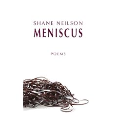 Meniscus